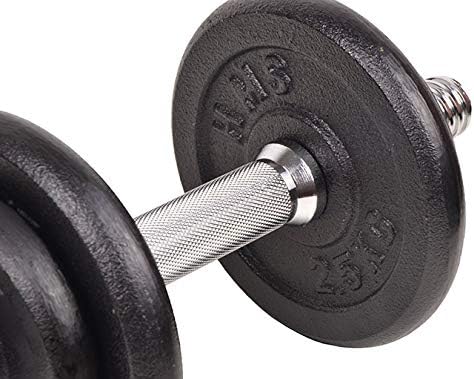Paire d’haltères noires de 20 kg (sur devis)