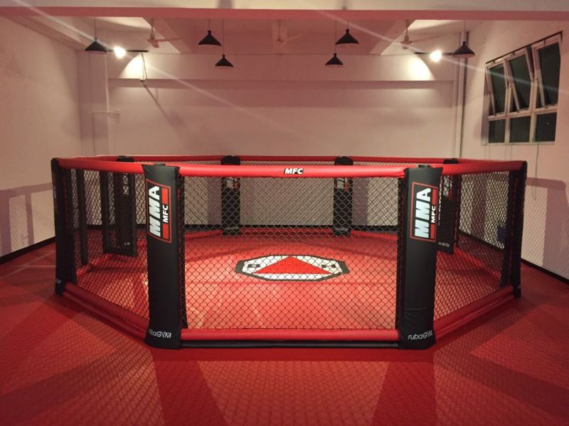 Cage de MMA hexagonale rouge/noir